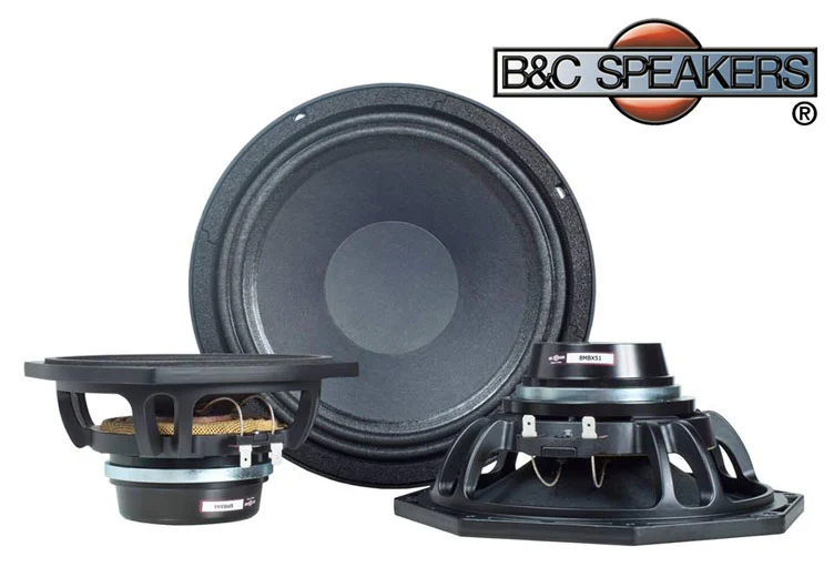 Khái niệm của loa từ NEO