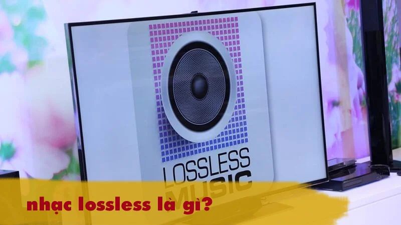 Nhạc lossless là gì?