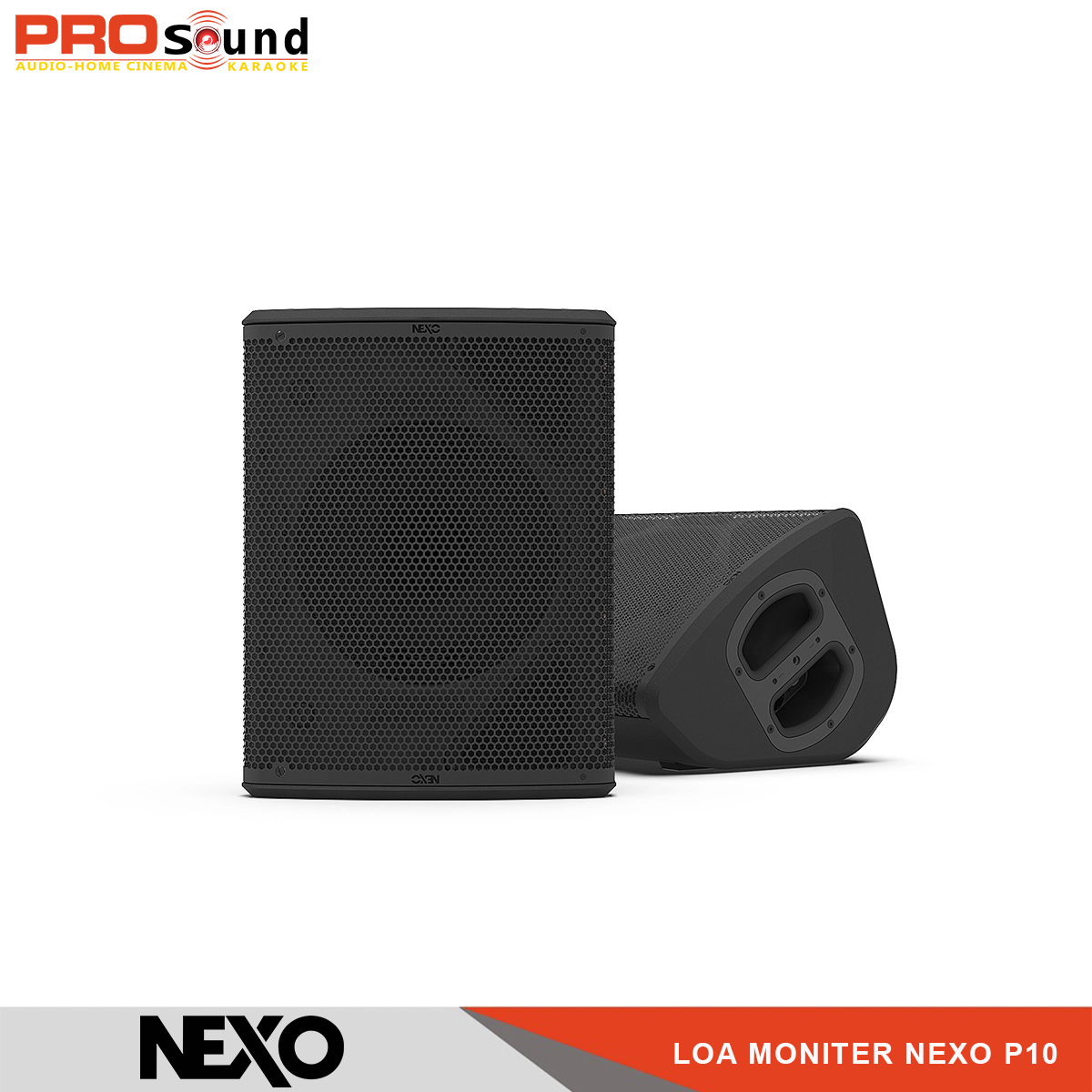 Loa NEXO PS10