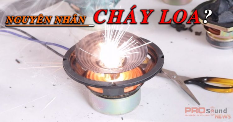 Nguyên nhân gây cháy loa