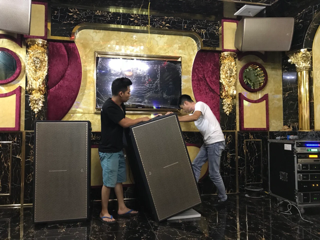 Loa Subwoofer cao cấp