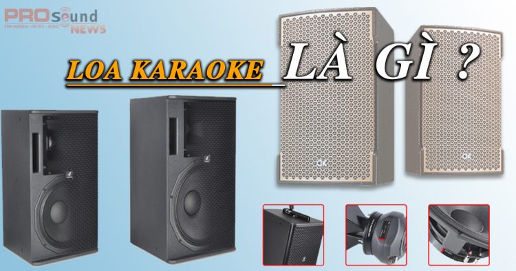 Loa karaoke là gì?