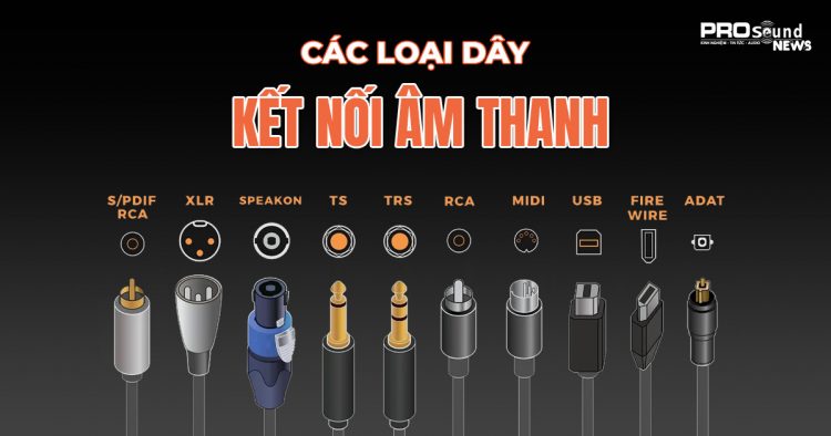 Các loại dây cáp âm thanh mà bạn cần biết