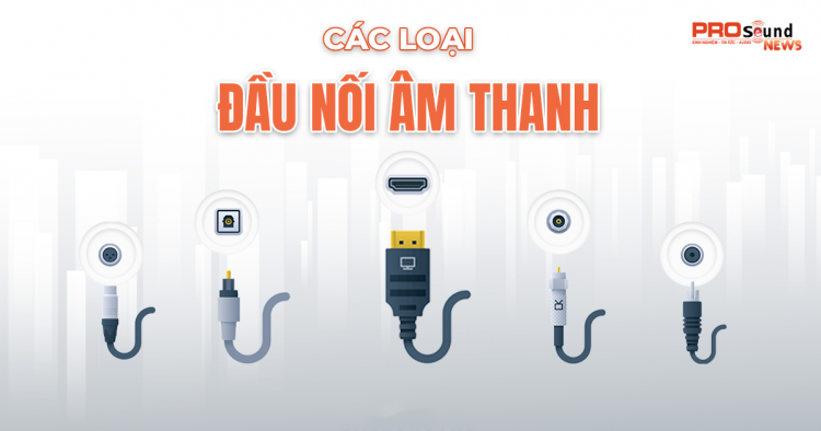 MỘT SỐ LOẠI ĐẦU NỐI ÂM THANH