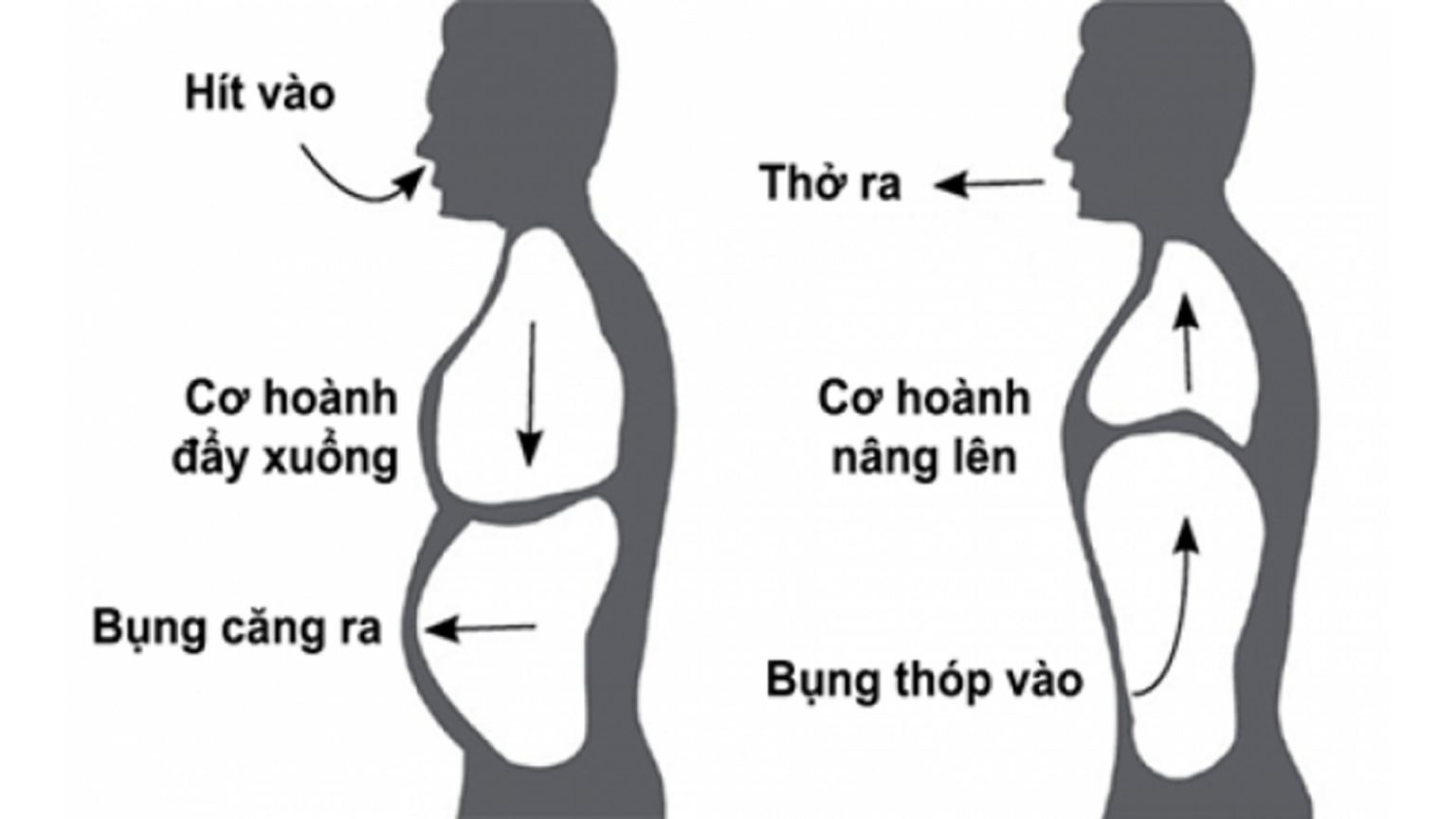 lấy hơi