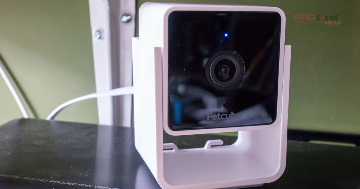 Đánh giá Petcube Cam Pro Sound Việt Nam