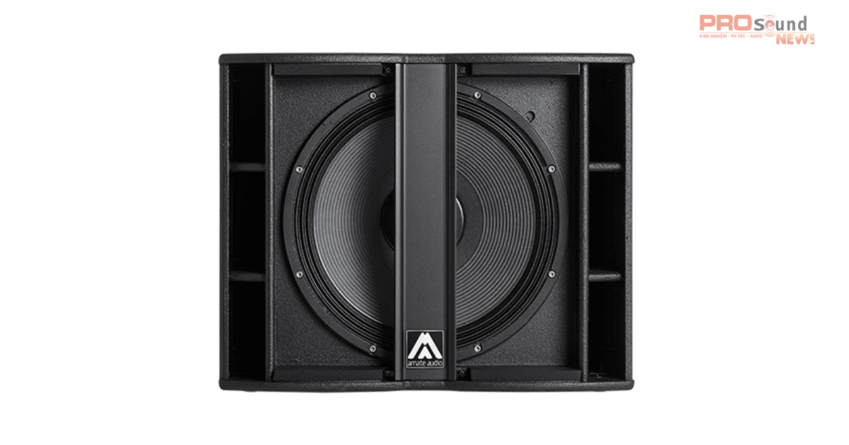 bên trong loa Subwoofer Amate Nitid N18W Active