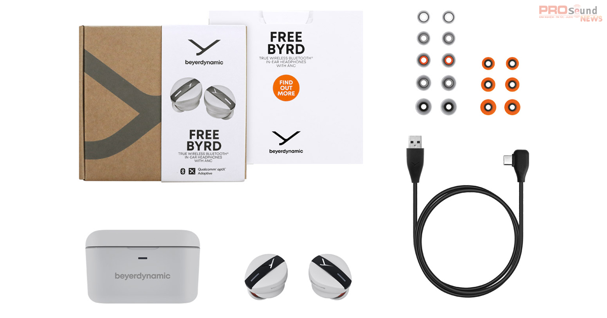 phụ kiện của tai nghe Beyerdynamic Free BYRD